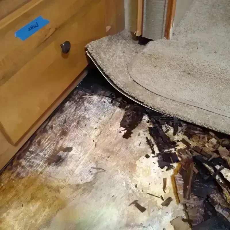 Wood Floor Water Damage in Nashville, NC